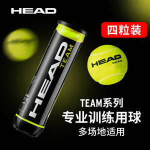 HEAD海德Team4个装网球有压球训练球练习球TOUR XT专业比赛用球
