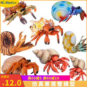 仿真寄居蟹玩具鹦鹉螺海洋生物动物模型实心塑胶儿童认知摆件礼物