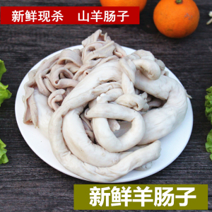 新鲜羊肠子 生羊肠 生羊杂山羊杂 羊肥肠 大肠小肠农家放养山羊