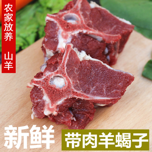 羊蝎子 带肉羊蝎子500g 羊脊骨蝎子骨 新鲜带骨羊肉农家放养山羊