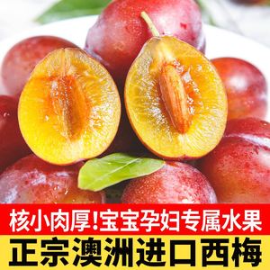 现货澳洲进口新鲜西梅水果鲜李澳洲西梅李子鲜果宝宝辅食顺丰2斤