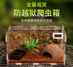 养蜗牛的盒子