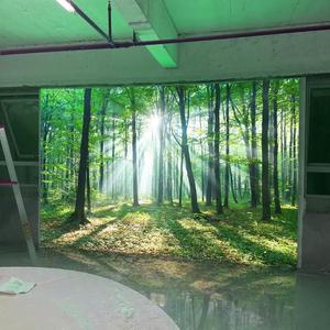 大自然风景卡布灯箱植物森林背景墙灯光树林山水UV天花软膜装饰画