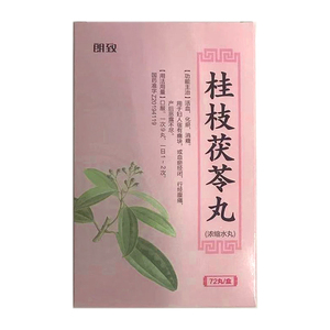 桂枝茯苓丸 45丸*2板/盒 活血 化瘀 行经腹痛的药 山西正元盛邦制药