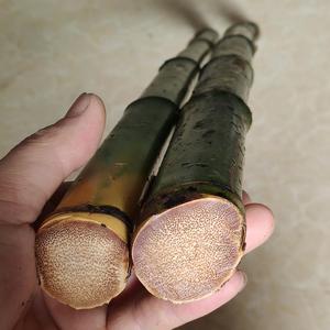 老玉竹全实心手把件吊坠佛珠念珠雕刻带皮原皮竹子沉水料原竹料竹