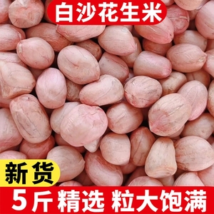 现剥新鲜花生米生5斤新货特级粉皮大粒榨油白沙花生仁散装大颗粒