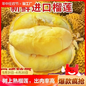 【现货】泰国树上熟金枕榴莲现摘现发新鲜水果10斤一整个巴掌果