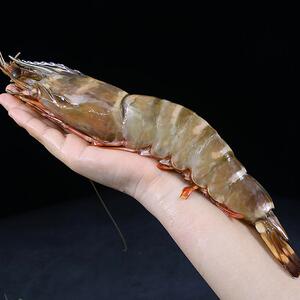 越南超大黑虎虾新鲜活冻特大老虎虾青虾九节虾基围虾海虾1kg/3只