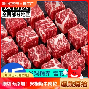 安格斯雪花牛肉粒4斤原切牛腩肉火锅食材冷冻牛肉块烤肉半成品