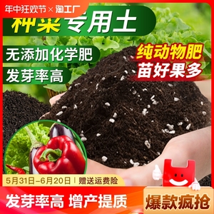 营养土种菜专用土壤种植土蔬菜阳台椰砖黑肥料有机泥土养花疏松
