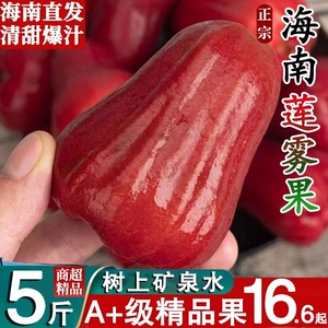 海南海口红宝石莲雾水果5斤当季新鲜水果特大果黑金刚连雾果整箱