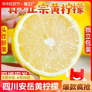 四川安岳黄柠檬3新鲜水果皮薄当季整箱选香水柠檬小金桔斤非无籽1