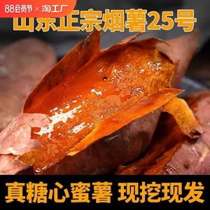 山东正宗烟薯25号糖心蜜薯新鲜红薯沙地红心番薯烤地瓜包邮软糯