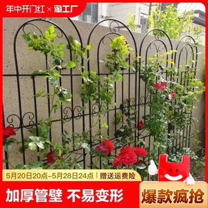 铁线莲月季爬藤架子蔷薇植物攀爬花支架户外庭院花园铁艺网格栅栏