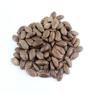 生吊瓜子非瓜蒌籽长兴中大颗粒新货原味咸味炒货吊瓜籽散装包邮