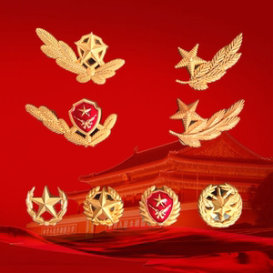 单独橄榄枝松枝领花海陆空军装领花夏常服领花军人纪念品兵军恋旅