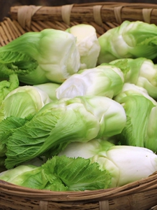 四川特产新鲜儿菜脆嫩抱子菜母子娃娃菜抱子芥菜产地直销5斤