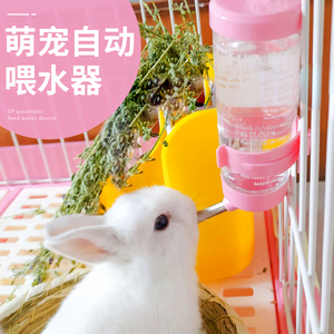 兔子自动饮水器喝水喂水仓鼠松鼠龙猫荷兰猪用专用滚珠水壶用品瓶