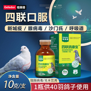 格莱德鸽药四联口服苗信鸽用疫苗新城疫腺病毒呼吸道沙门氏鸽子药