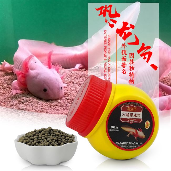 娃娃鱼饲料
