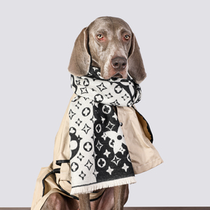 狗狗围巾秋冬季保暖宠物装饰潮牌大狗长条围兜人宠同款大型犬围脖