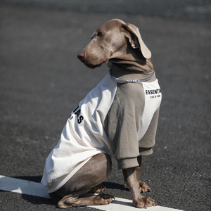 bigdog狗狗衣服大型犬春秋插肩袖薄款金毛拉布拉多网红大狗狗衣服