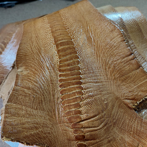 南非a级金棕色鸵鸟腿真皮手工diy钱包短夹表带鞋子手机壳特种皮料