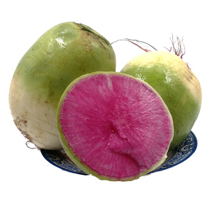 心里美萝卜 2500g带箱 东北冰糖萝卜 红心心灵美 配菜 新鲜蔬菜