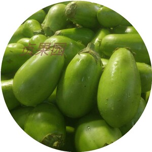 新鲜绿皮圆茄子净含量4斤绿茄子茄瓜青茄子应季现摘蔬菜瓜果