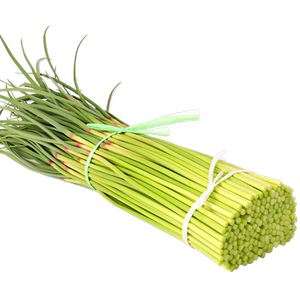 新鲜短蒜苔蒜薹新鲜蔬菜农家种植蒜毫2斤装现摘河南鲜大蒜苔