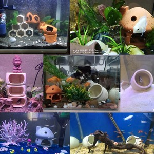 小鱼躲避屋沉木躲避洞鱼缸小鱼虾窝虾五三湖慈鲷鱼孔雀鱼繁殖鱼窝