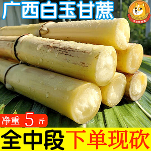 广西白玉甘蔗新鲜中段白皮玻璃脆甘庶现砍现发水果包邮整箱5斤