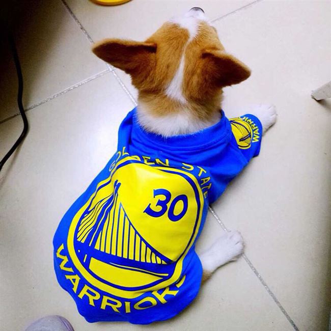 篮球勇士队 定制宠物球衣斯芬克斯狗狗比熊t恤猫咪拉布拉多衣服