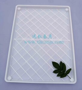 养蚕用具蚕具蚕箔共育盒蚕匾塑料蚕箔饲养筐小蚕共育盒塑料晾晒盒
