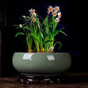 中国风水仙花盆陶瓷创意铜钱草水培家用水养睡莲一叶莲哥窑带拖