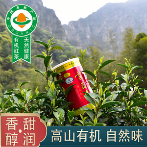 高山有机红茶薯蜜香浓香型广东雪花岩罗坑茶叶罐装散茶一级口粮茶