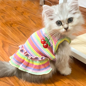 猫咪衣服可爱樱桃吊带裙春夏季薄款防掉毛金吉拉布偶宠物小狗服饰