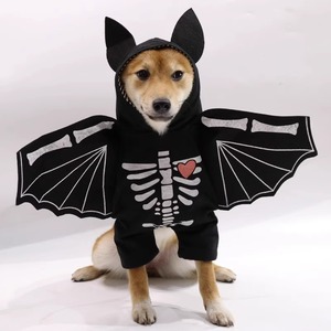 狗狗万圣节衣服搞笑站立蝙蝠装带翅膀帽子宠物猫咪搞怪节日变身装