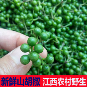 现货农产品野生新鲜山胡椒山仓子木姜子山椒子食用去腥调味现摘