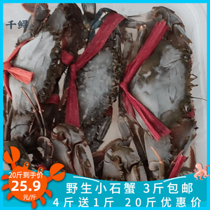 野生小石蟹石头蟹冷冻梭子蟹7-10只/斤福建海鲜香辣蟹 4斤送1斤