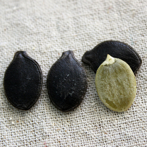 云南老品种黑南瓜子绞丝瓜子黑金刚瓜子生绞丝瓜子生丝瓜子500克