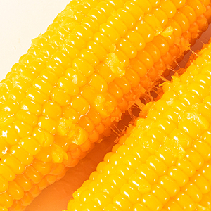 整箱10棒东北黄糯玉米新鲜现摘粘黏甜真空袋装包非转基因即食2021