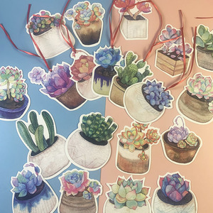 30张创意异形卡片祈福牌许愿卡吊卡树多肉植物幼儿园可悬挂件心愿墙签