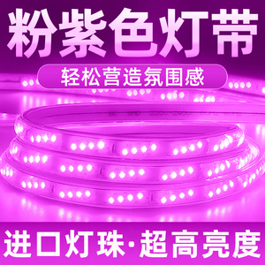 紫色led灯带粉色家用220v浪漫创意装饰氛围超亮户外防水软灯条