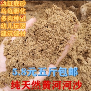 多肉土铺面粗河沙粗沙黄沙细沙土鱼缸沙植物种植铺面石粗砂配土沙