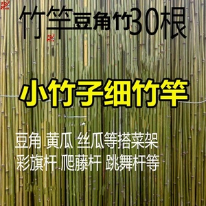 菜地竹竿细竹竿花卉田园棚架黄瓜瘦竹竿阳台种花蔬菜搭架豆角杆子
