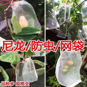 种植防鸟网纱袋水蜜桃育果袋果树纱网青瓜网套防虫套袋防鸟袋网袋