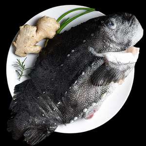 【4.2-5.5斤】海参斑鱼海鲜批发海参鱼去内脏斑鱼深海鱼肉质香醇