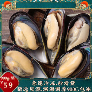 【冷冻蓝青口】1kg冰冻进口全壳蓝贻贝非鲜活淡菜海鲜西餐厅包冰