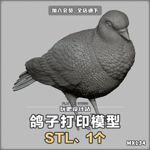 飞禽鸟类鸽子信鸽STL三维模型3D打印圆雕图纸C4D动物手办建模参考